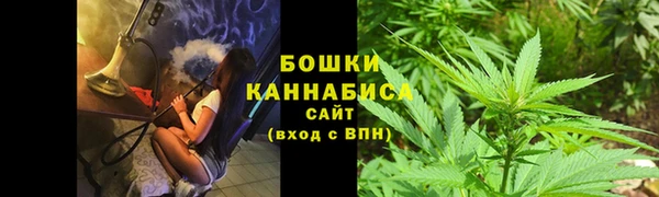 дмт Аркадак