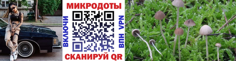 где купить наркоту  Острогожск  Галлюциногенные грибы Cubensis 
